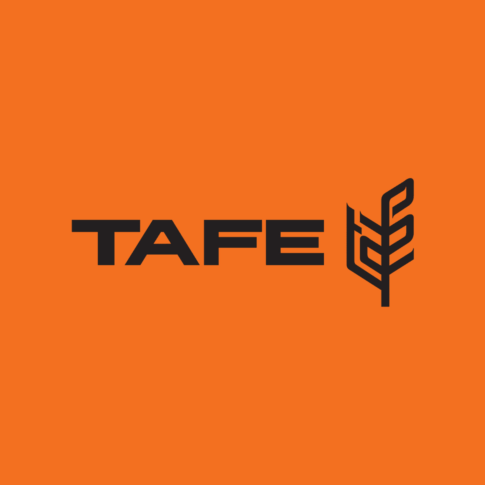 Tafe